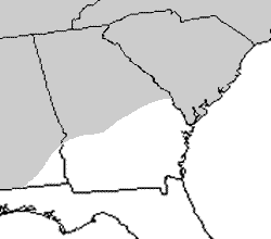 Range for Worm Snake (Carphophis amoenus) - south